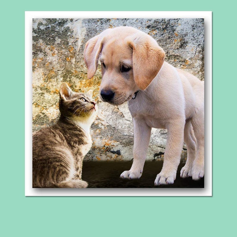 Hamilco Card Stock Scrapbook Paper 12x12 Black Colored 65lb Cardstock â€“ 25 Pack - Image 3